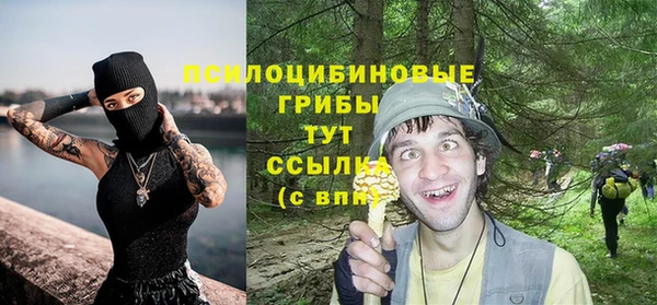 дурь Волосово