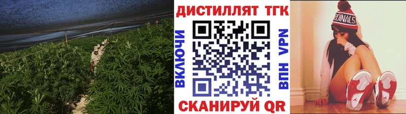 Купить где  Бор  Дистиллят ТГК гашишное масло 